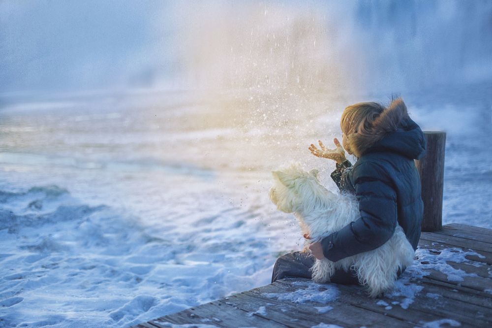 На берегах Амурского залива