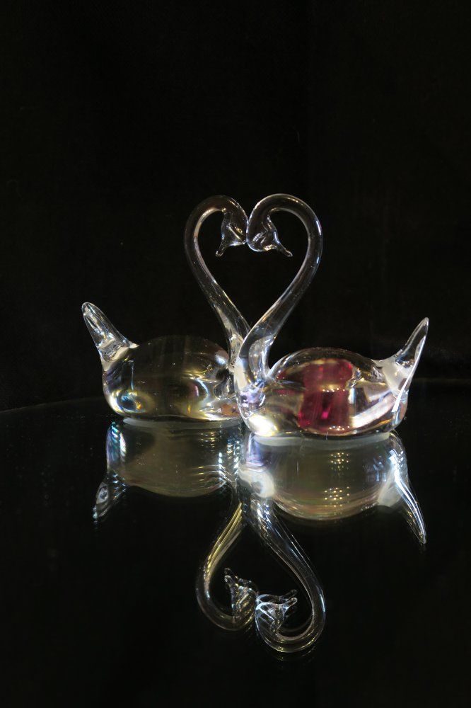 Photograph by Ольга