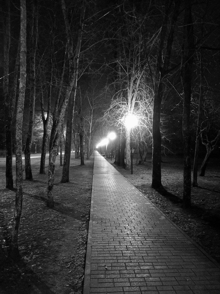 Photograph by Евгений