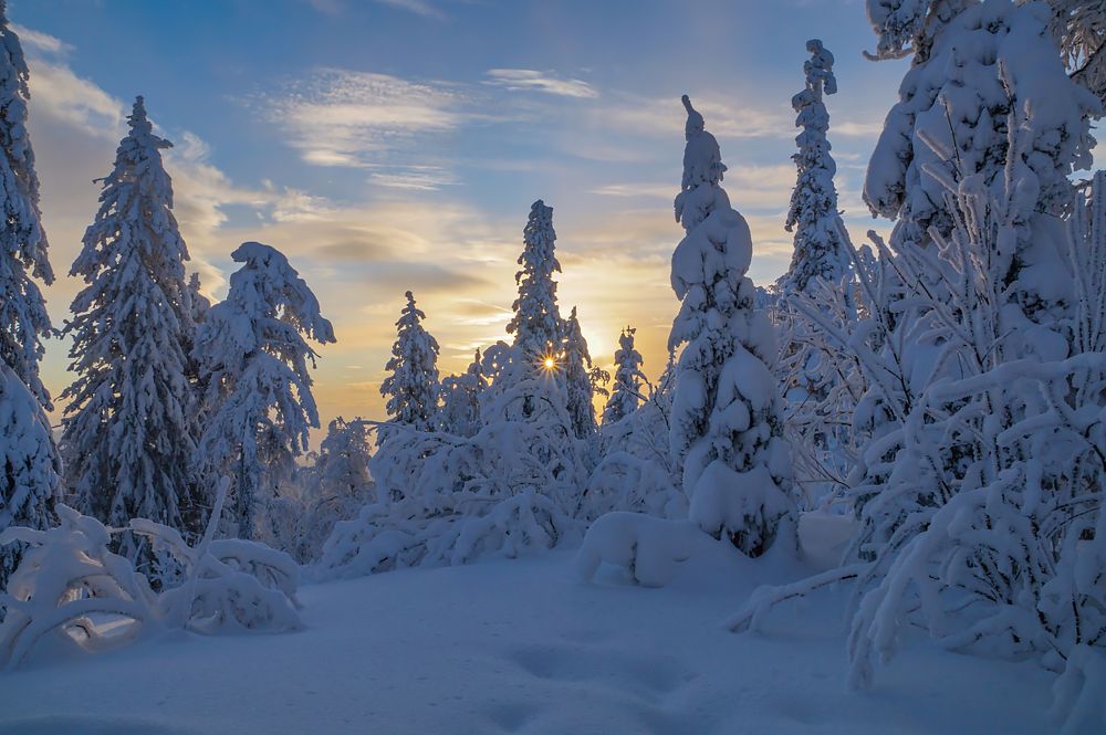 Однажды в тайге.