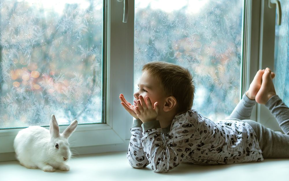 Зимний вечер