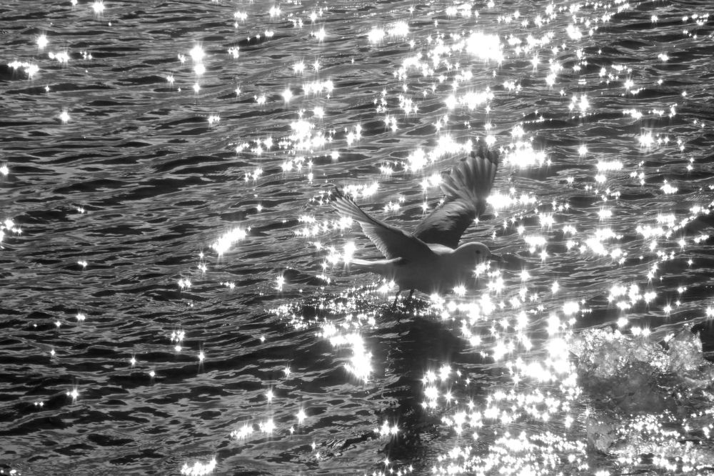 В блистающем мире