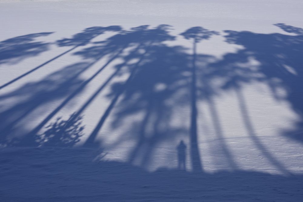 Первоапрельский этюд