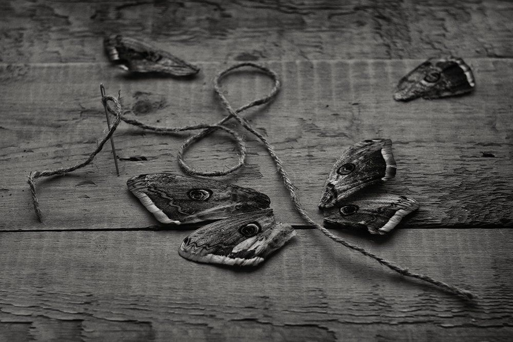 Метаморфозы бесконечного