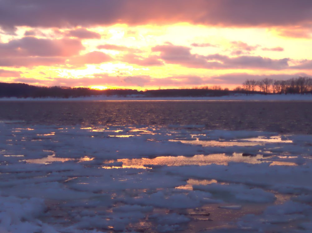 разлив цвета