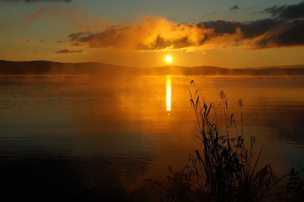 Рассветная.