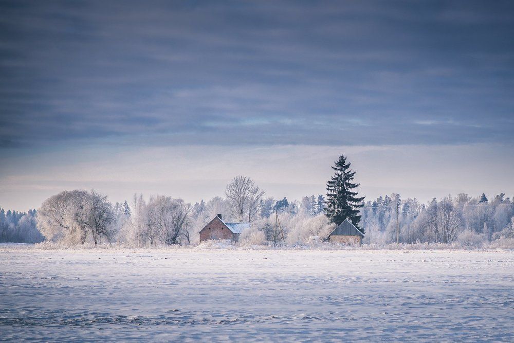 Зимние сказки