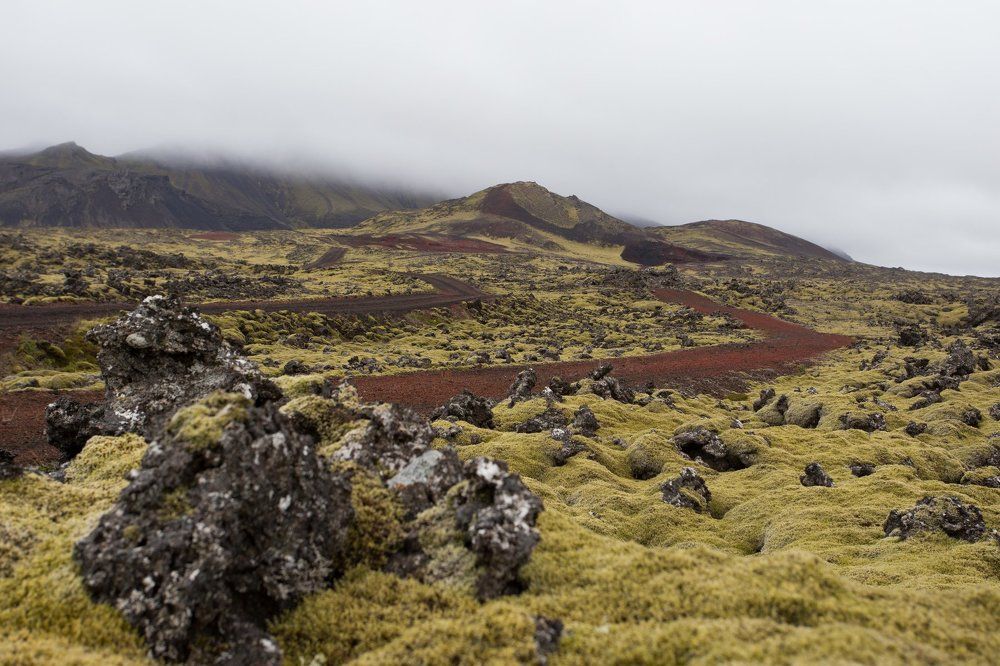 Марс "засиделся" на Земле