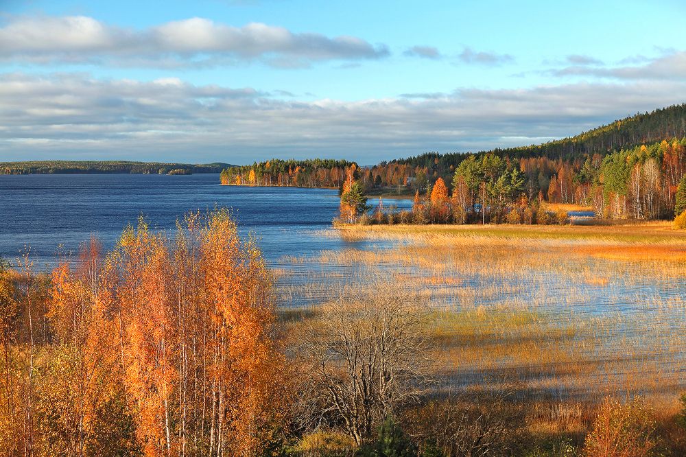 Золото Заонежья