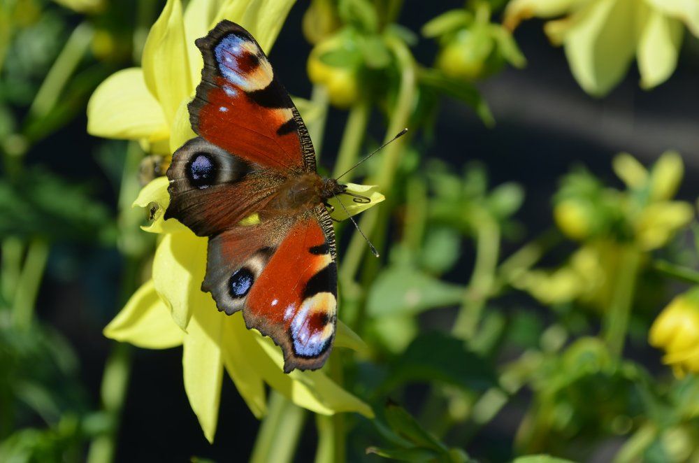 Photograph by Татьяна