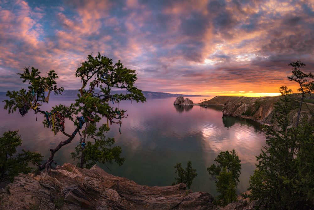 Розовое утро