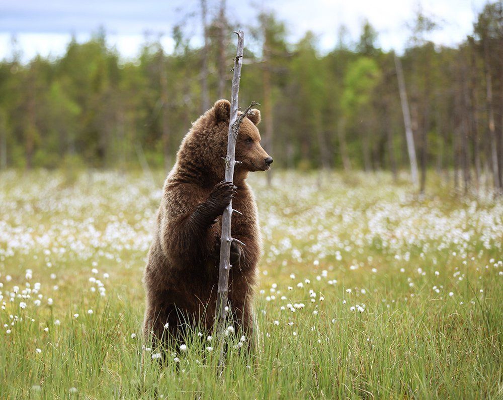 Где-же этот фотораф?