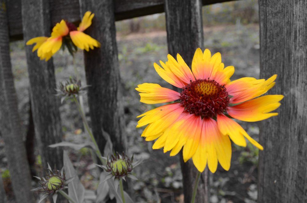 Photograph by Татьяна