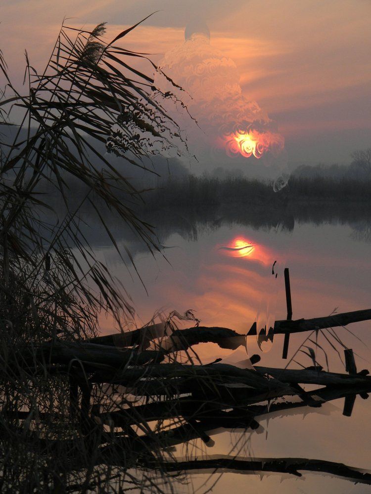 Photograph by Ru Lan