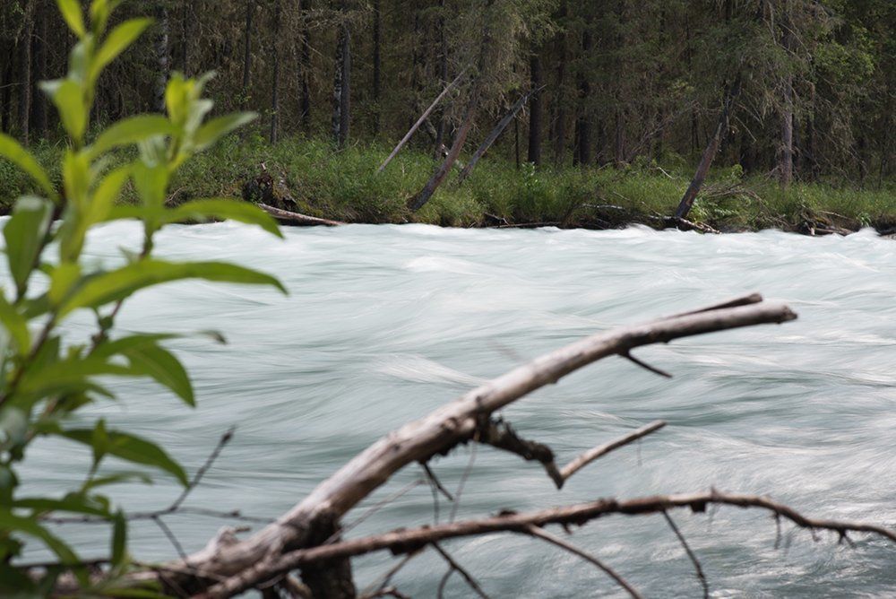 Бархат воды