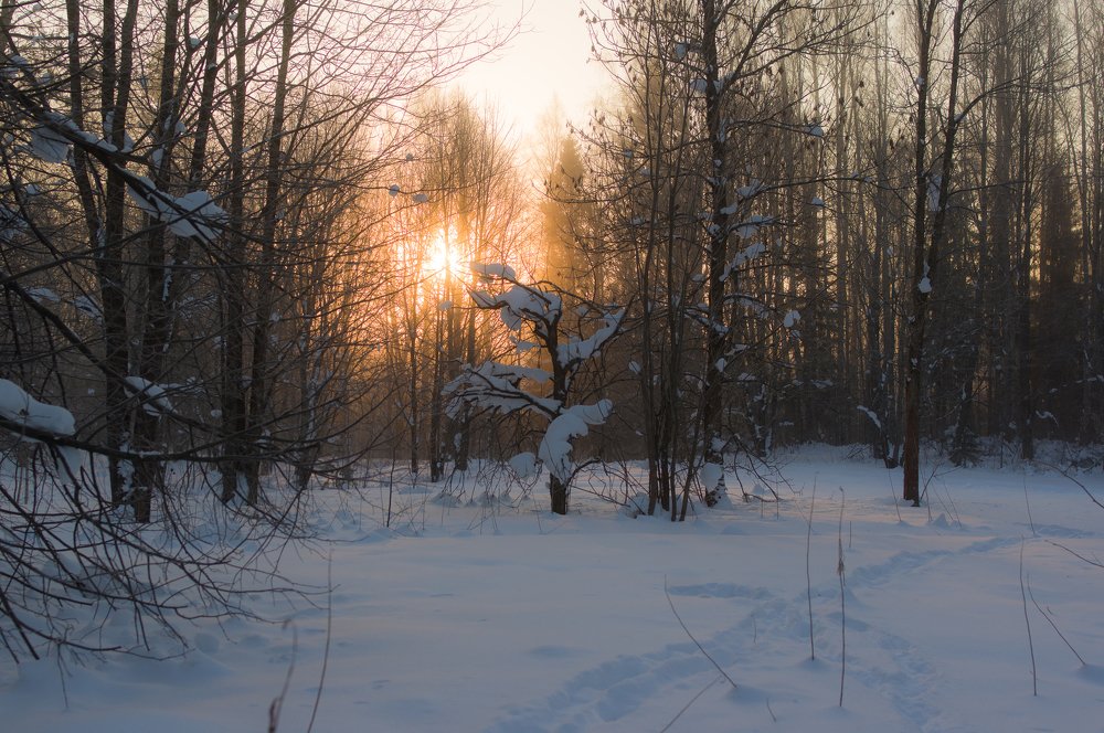 Солнышко просыпается.