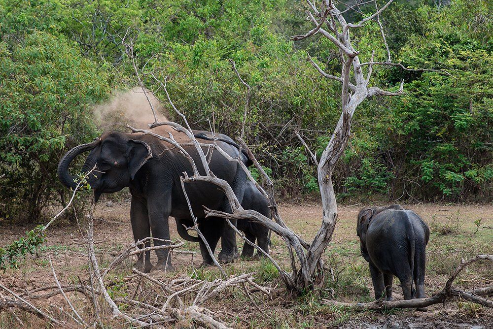 Песочные ванны