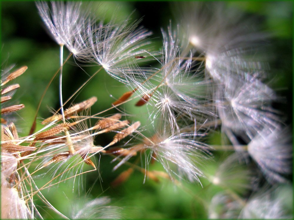 Photograph by Воропаева Юлия