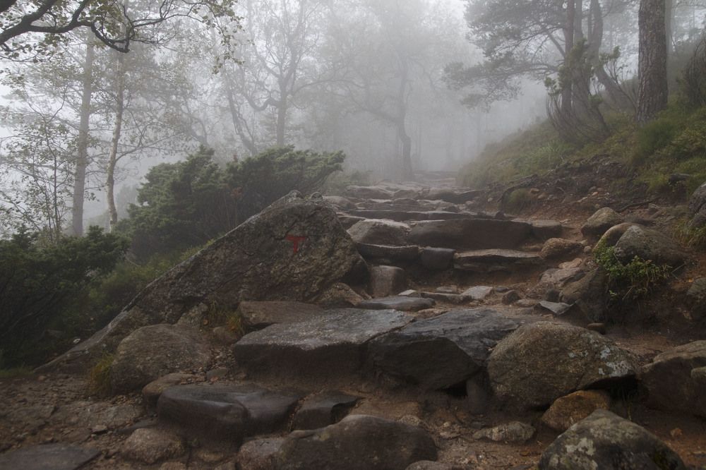 Path to the fairy tale