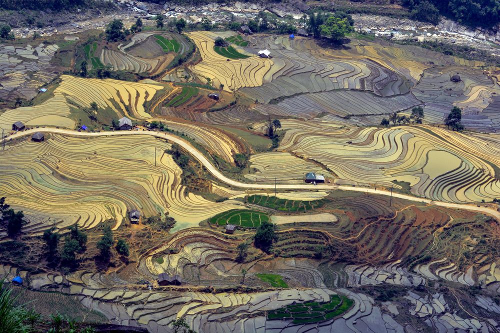 pour water into the field