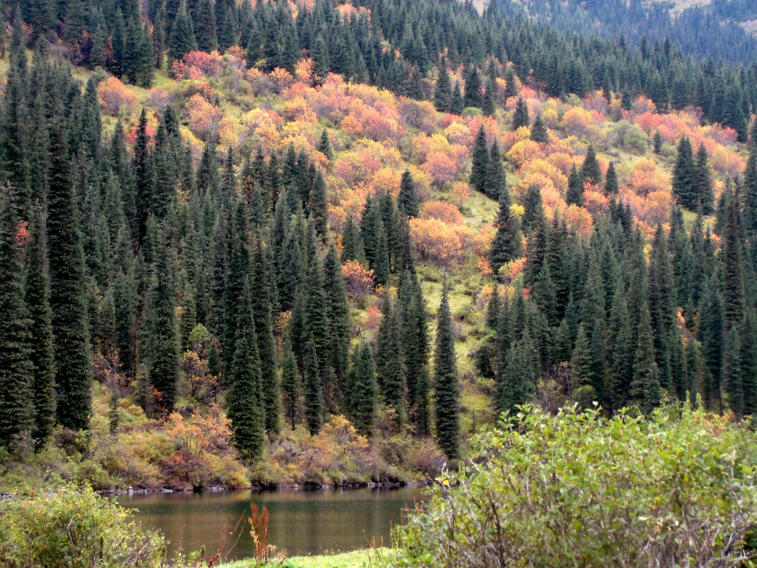 Осень близко