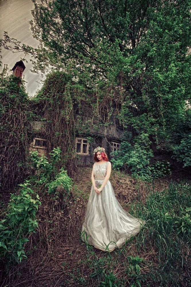 забытый дом