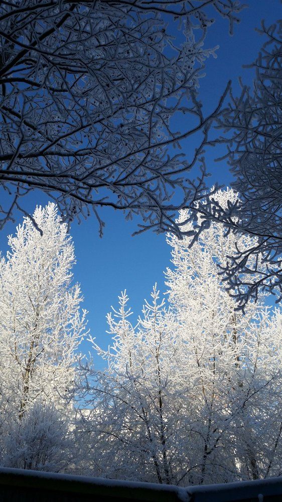 Зимний день в горде