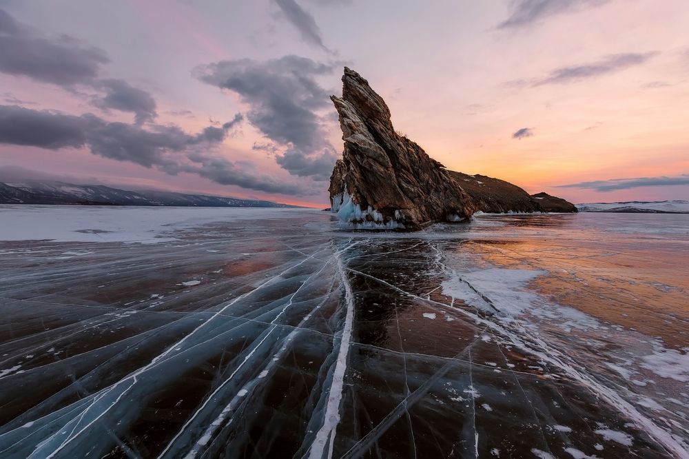 Тональный беспредел Ольхонской ящерки