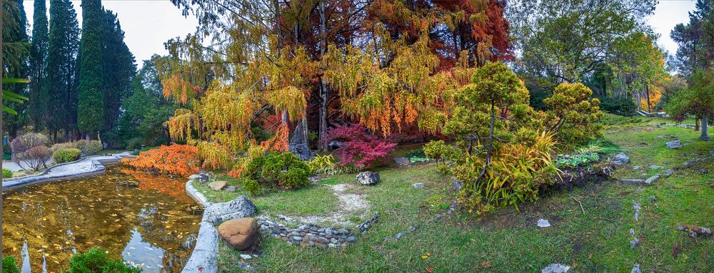 Японский сад в Дендрарии г. Сочи