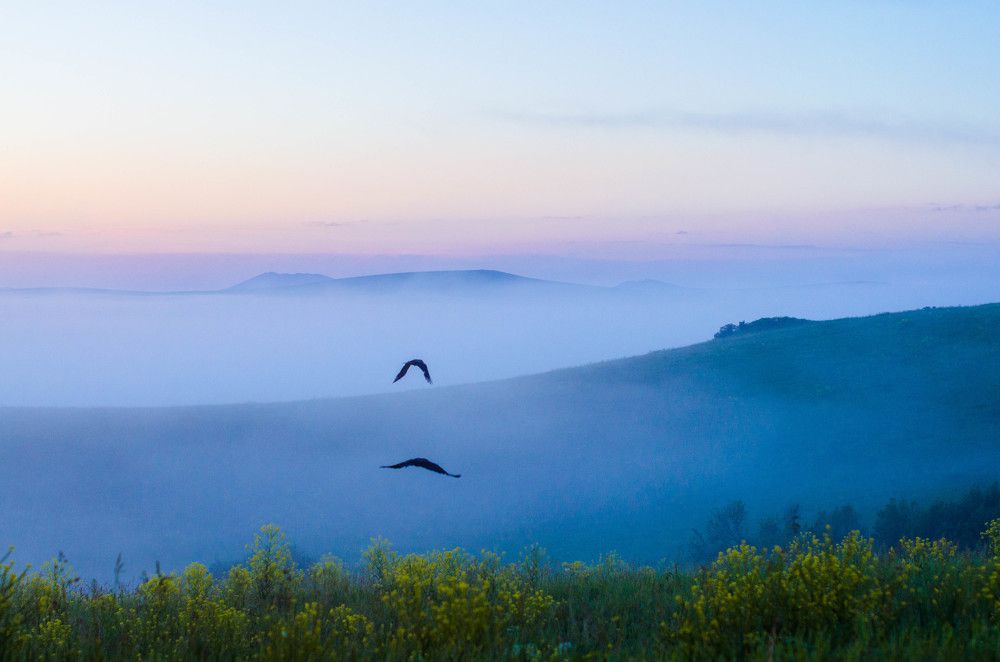 Раннее утро. Алтайские просторы.