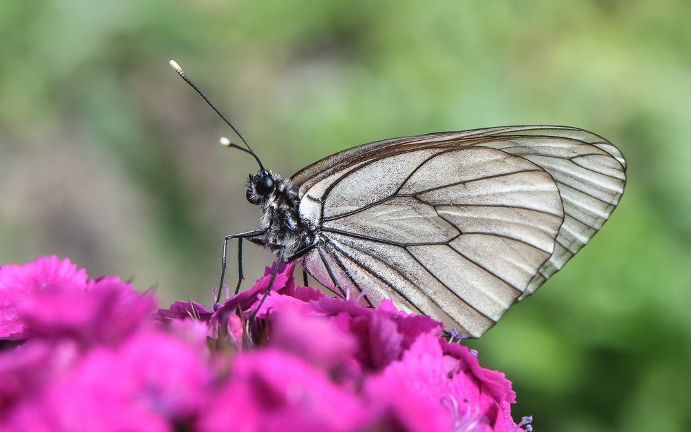 Photograph by Евгений Дроботенко