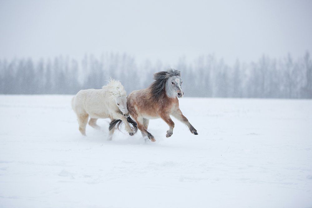 Фотография автора Helena