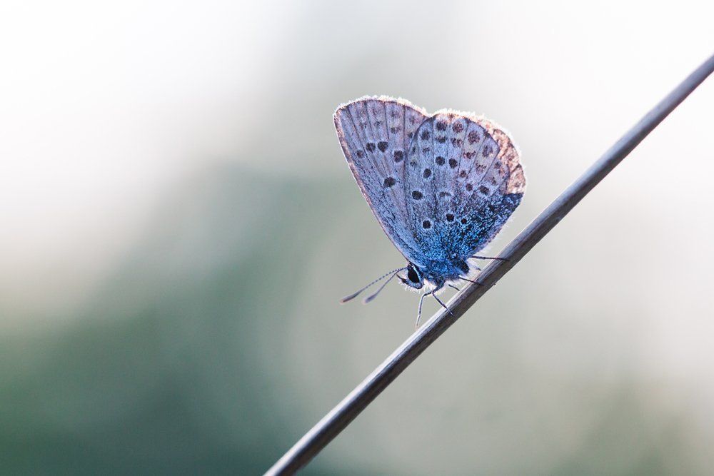 Фотография автора Helena
