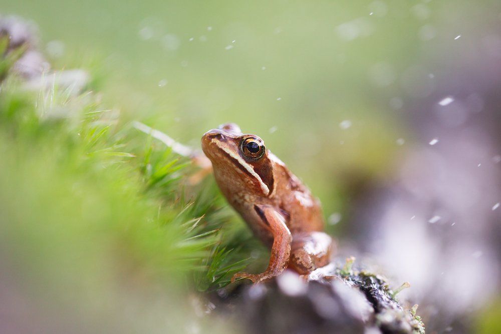 Фотография автора Helena