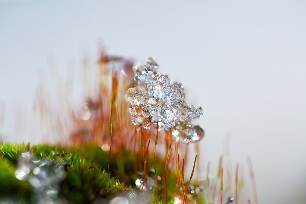 Фотография автора Helena