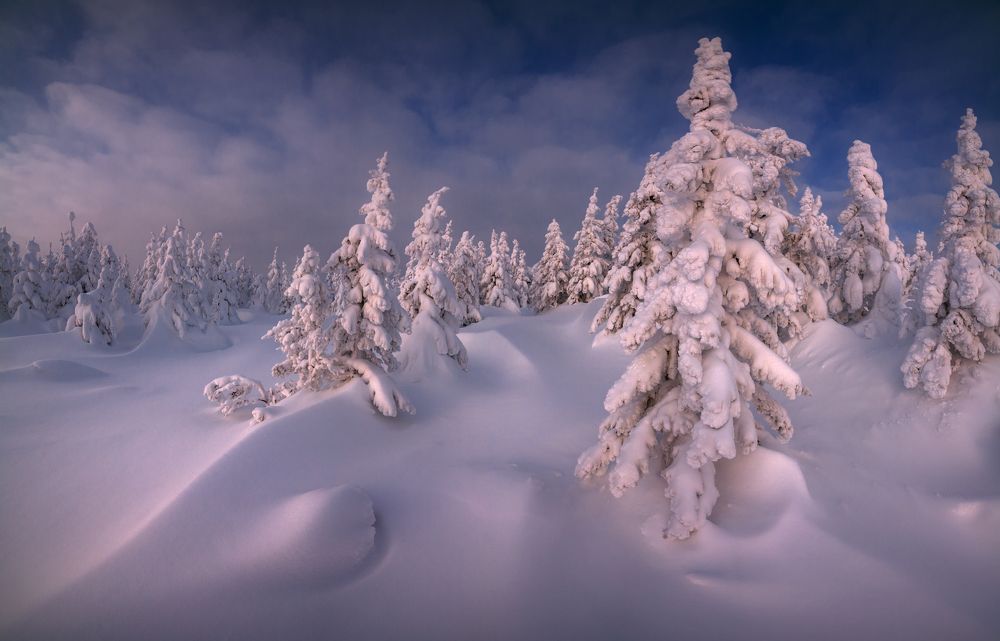 Кудесница зима
