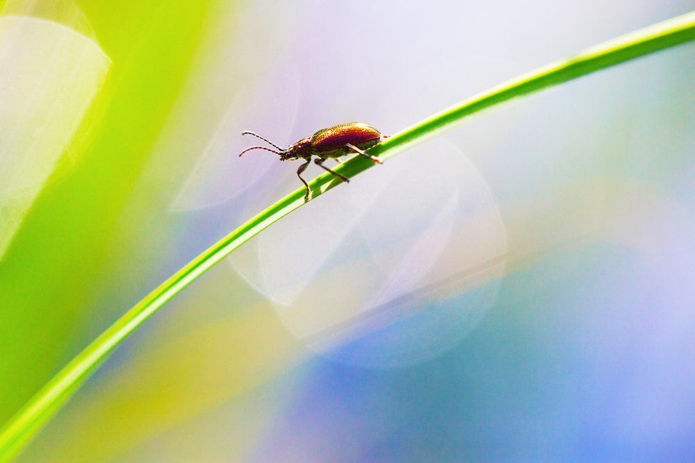 Фотография автора Helena