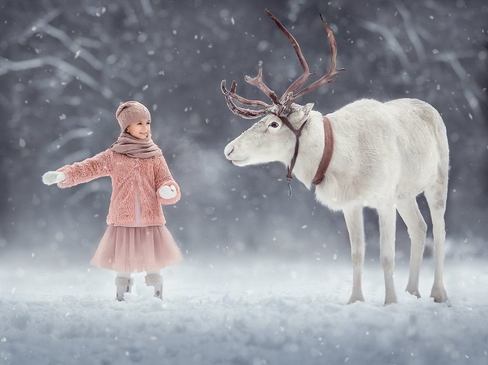 Пойдем со мной.