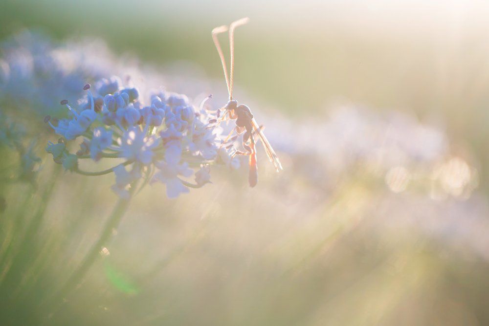 Фотография автора Helena