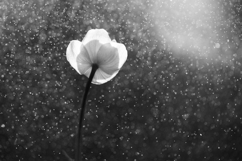 Фотография автора Helena