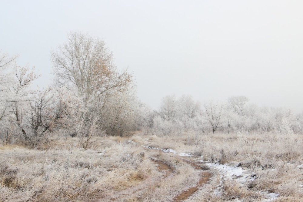 Белая дорога