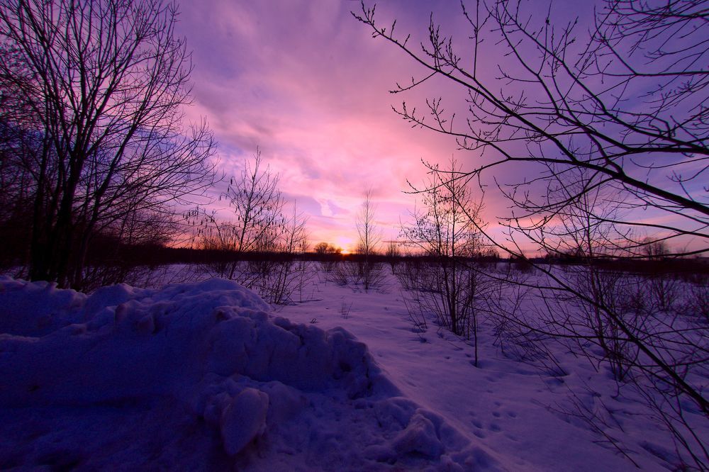 Photograph by Екатерина