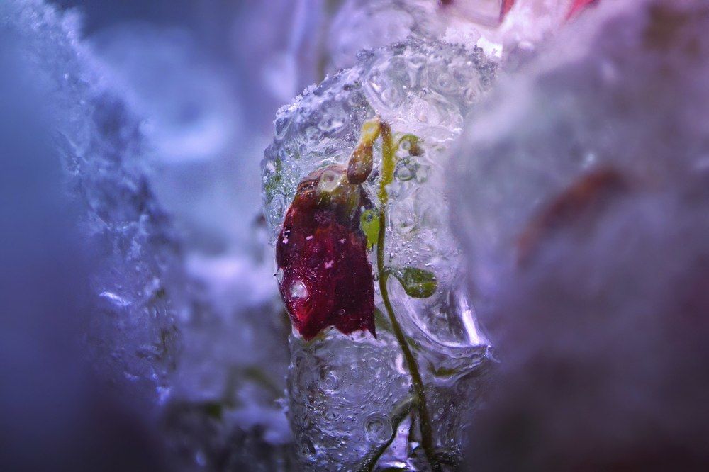 Photograph by Екатерина Однашова