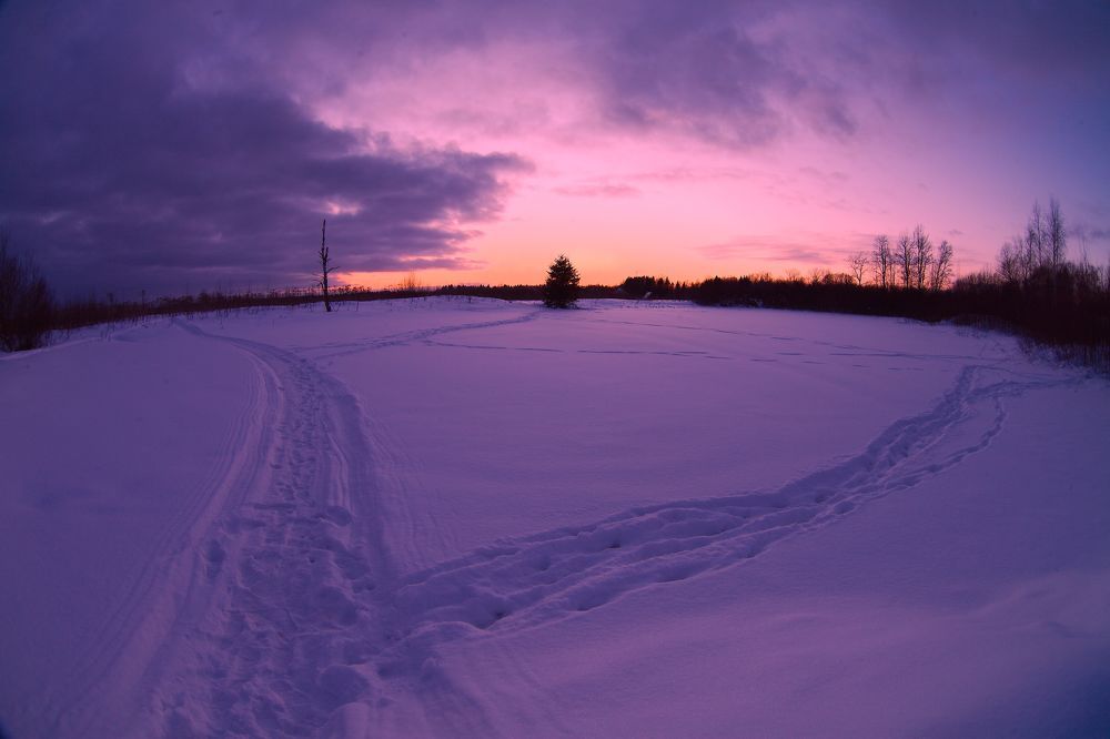 Photograph by Екатерина