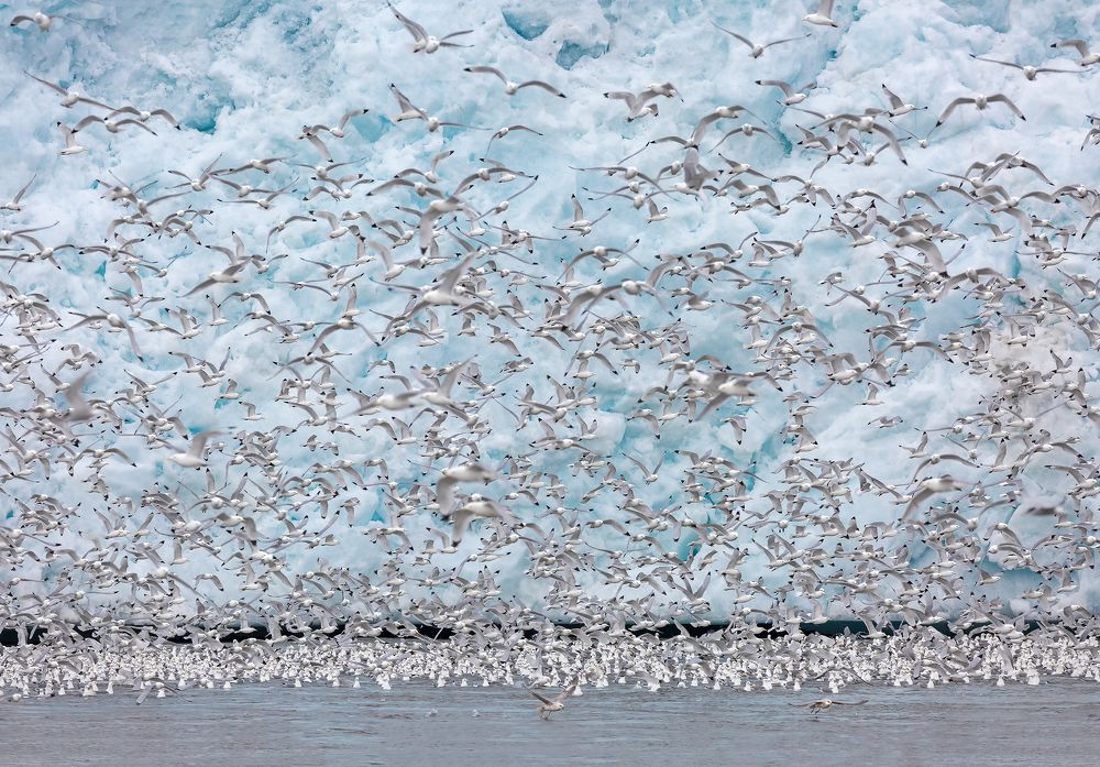 Видимо-невидимо