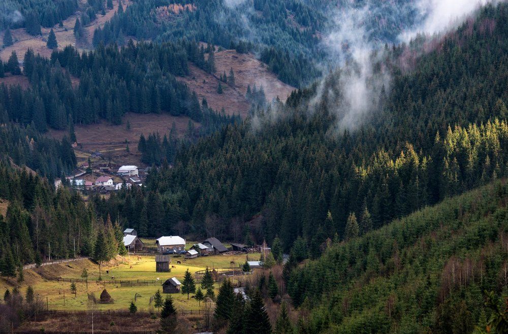 Photograph by Olari Ionut