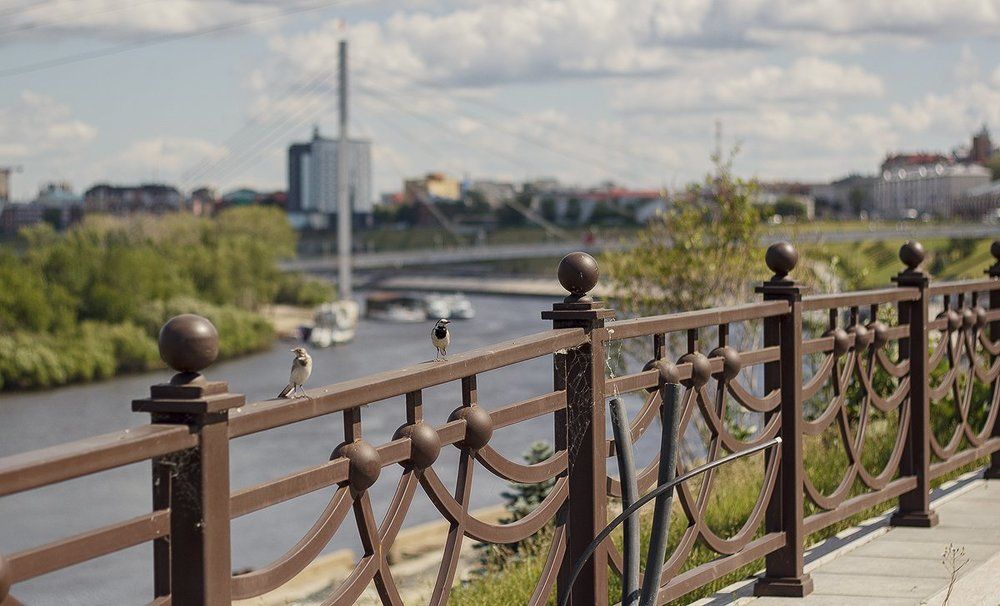 Photograph by владимир насекин