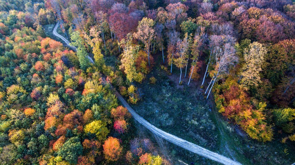 Photograph by Olari Ionut