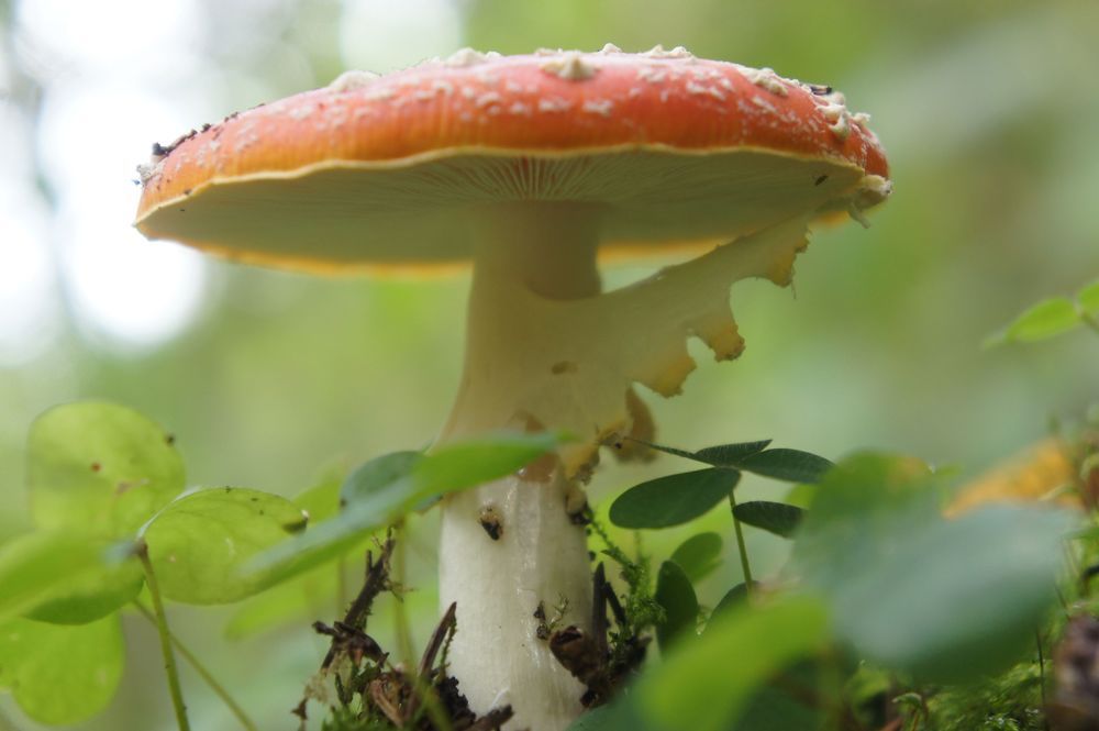 Photograph by Екатерина