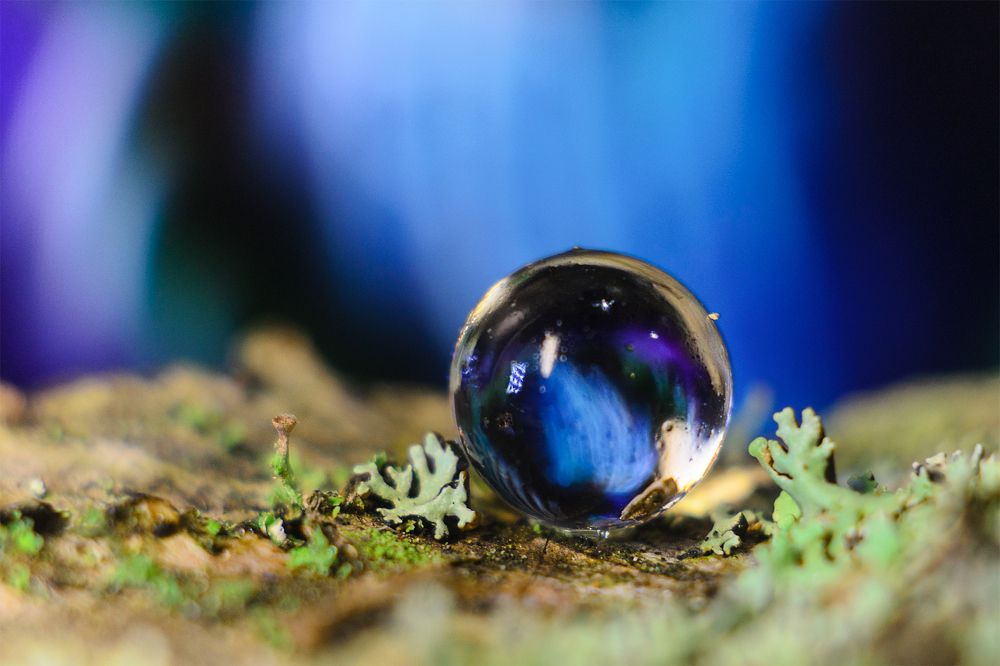 Photograph by Аксана Чалова